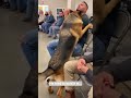 This Dog Picked the ‘Tough Guy’… and He Melted #dogadoption