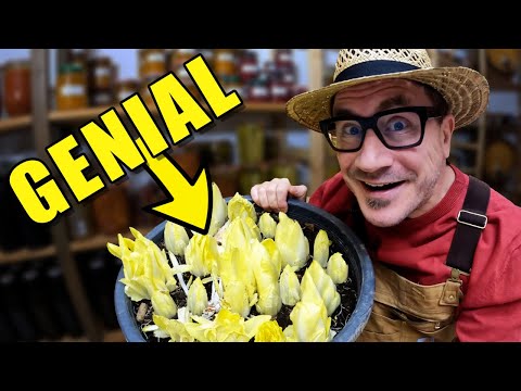 Thumbnail for Selbstversorgung im Januar: Gemüse anbauen / Anzünder selber machen