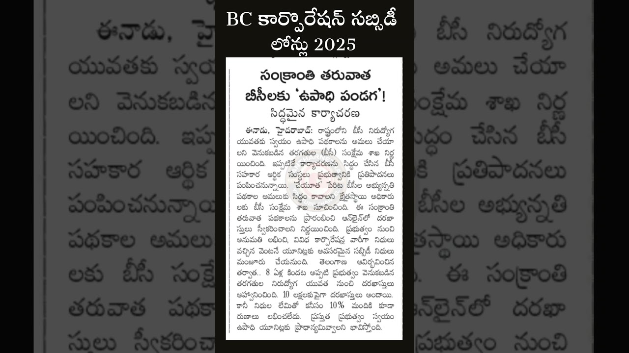 BC corporation subsidy loans 2025