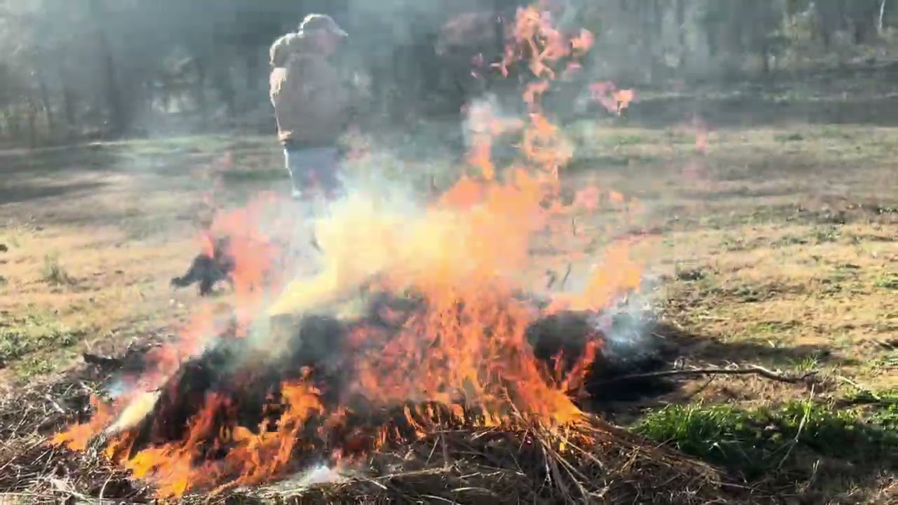 SWEET❤️They’re worried might Dad get burned.
