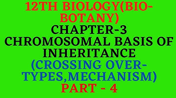 12th Biology(Biobotany) Chapter3 Chromosomal basis of inheritance(crossing over,types,mechanism) (4)