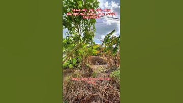 374m2 Đất Mặt Tiền Nhựa Gần KCN Tân Hương (8Xx Triệu) 0901678768 #bdstiengiang