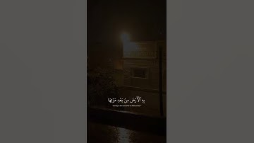 اكتب شي تؤجر عليه ❤ | القارئ عبدالرحمن مسعد | قرآن كريم