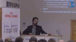 видео: А.Н. Бокарёв - Гипертрофическая кардиомиопатия и дилатационная кардиомиопатия. Часть 1 | УЦ «ЗООВЕТ» картинка: А.Н. Бокарёв - Гипертрофическая кардиомиопатия и дилатационная кардиомиопатия. Часть 1 | УЦ «ЗООВЕТ»