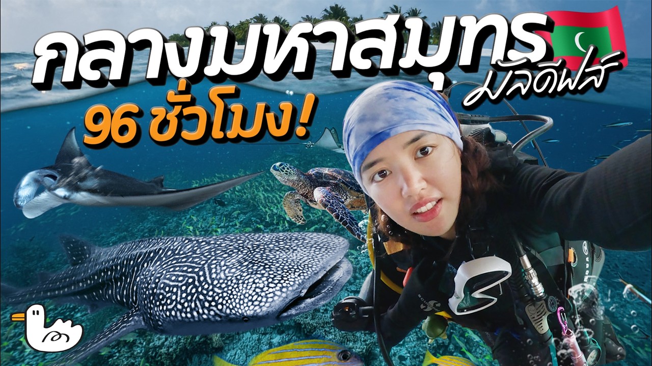4 วัน 3 คืน ดำน้ำตามหาปลาใหญ่ที่สุดในโลก | มัลดีฟส์