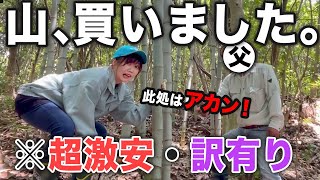 訳あり山購入！キャンプ場開拓に行ったらヤバい所だった件…【田舎暮らし】