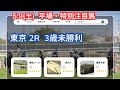 【 5月9日 (土) 注目馬 】【京都新聞杯】 歳かな、、