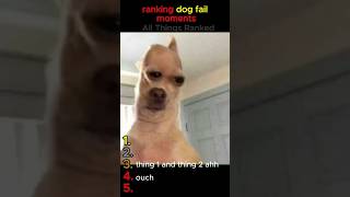 Top 5 Dog Fail Moments 🐶🐶 #dogs #animals #cats #funnydogvideos  #funny #shorts
