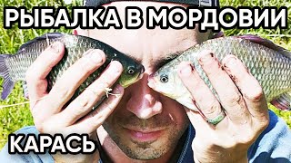 В этом пруду караси клюют как из пулемета ! Рыбалка в Мордовии!