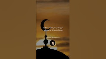 سورة الزمر بصوت سعد الغامدي اجمل حالات واتس اب دينية فيديو قصيره قرآن الكريم 😌🎧