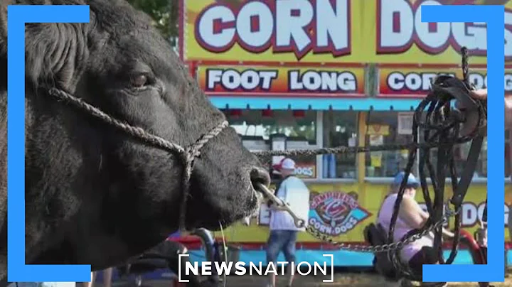 Presidential candidates pour in for Iowa State Fair | On Balance