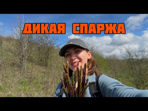 Wild asparagus
