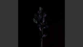 Hayatım - Jokdia