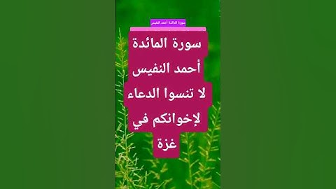 سورة المائدة أحمد النفيس  #قرآن #قران_كريم #المصحف #تيك_توك  #راحة_نفسية #دويتو #لايك #اكسبلور