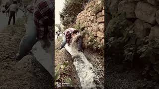 Buz Gibi Akan Suda Yüz Yıkamak