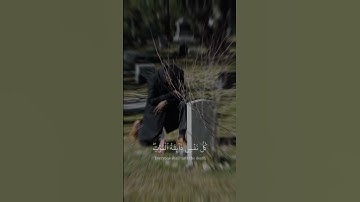 ﴿ كُلُّ نَفْسٍ ذَائِقَةُ الْمَوْتِ ۗ  ﴾ تلاوة جميلة بصوت القارئ عبدالرحمن مسعد #أرح_سمعك_وقلبك