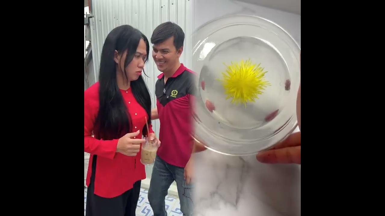 🤣👌👌👌2026 Đáng xem Tuyển tập những clip điên rồ không thể bỏ lỡ #humor #fypシ #pov #fyp #foryou 👀🔥