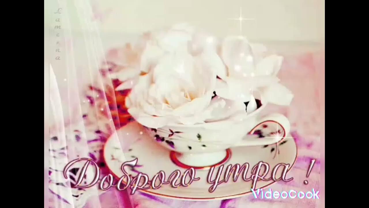 С добрым утром картинки красивые. Поздравления с добрым утром красивые необычные. Волшебный цветок. Утренние приветствия с добрым утром. Открытки доброе утро.