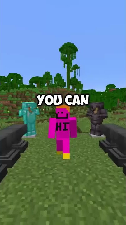 You Can Survive /Kill in Minecraft