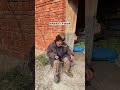 This little old man speaks with a delightful smile #Rural funny jokes Jiangsu Doule Jie