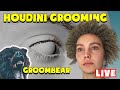 LIVE - Grooming in Houdini using Groombear and Arnold