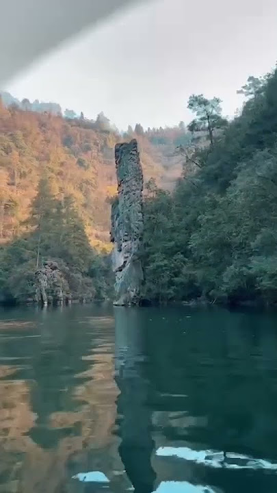 โปรแกรมจางเจียเจี้ย #gogorio #ทัวร์เวียดนาม #โปรไฟไหม้