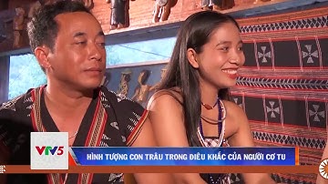 HÌNH TƯỢNG CON TRÂU TRONG ĐIÊU KHẮC CỦA NGƯỜI CƠ TU  | VTV5