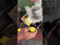 Bullet Moter repair new motor installation #newmoter #radheelectric