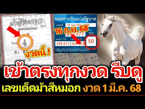 เลขเด็ดจากม้าสีหมอก งวด 1 มีนาคม 2568 2 ตัวตรงๆเน้นๆ #เลขเด็ด #เลขดัง #ห้ามพลาด