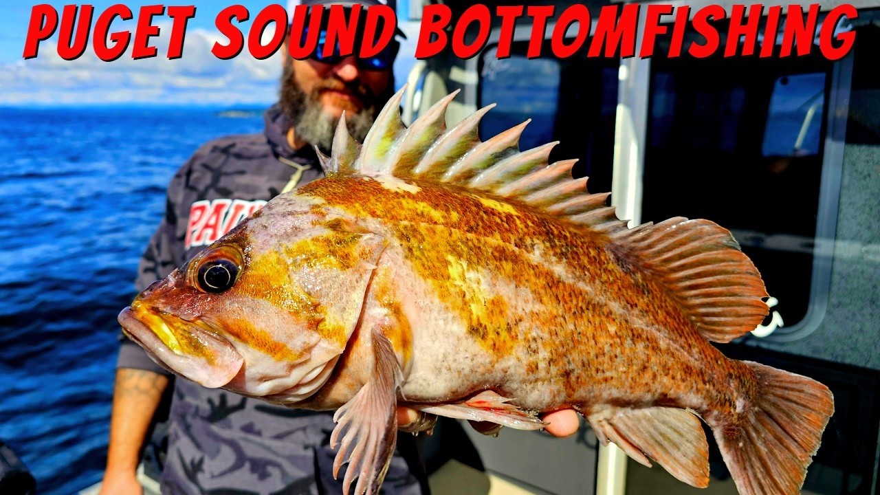 Puget Sound Bottom Fishing