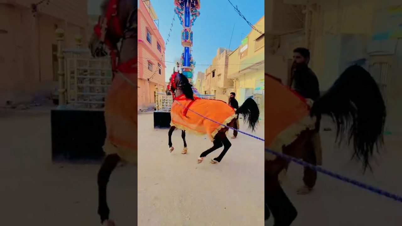 Qadam Gha MOLA ALI AS 