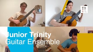 Junior Trinity, Guitar Ensemble - Delo Jusic, Stare Lubjavi (A Croatian Song)