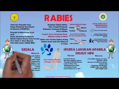 Video: Rabies: Dulu Dan Sekarang - Anjing Dengan Rabies - Apakah Old Yeller Perlu Mati?