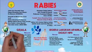 Kenali Gejalanya, Cegah Secepatnya | RABIES | WORLD RABIES DAY