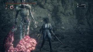 Orphan Of Kos No Damage Ng+5(Сирота Кос Без Урона )