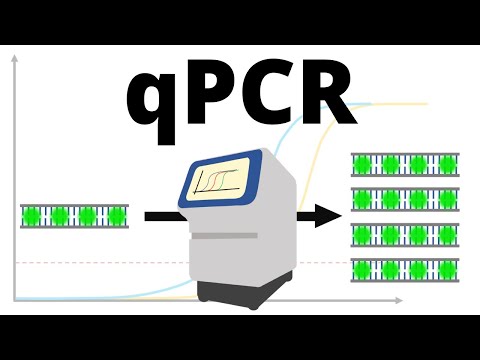Βίντεο: Ποια είναι τα συστατικά της PCR;