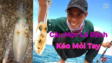 Mùa Câu Mực Lá Áp Gành. Được Bữa Mực Nhỏ Chịu Ăn. Tại Sơn Hải. Ninh Thuận. Tập 6. Full Hd.