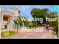 Walking tour  4k  merida yucatn  morning walk  captions   63 mins