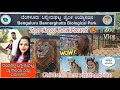 bannerughatta national park | zoo ತುಂಬ ಸಿಂಹ ಗರ್ಜನೆ children's best visiting place | ಬನ್ನೇರುಘಟ್ಟ
