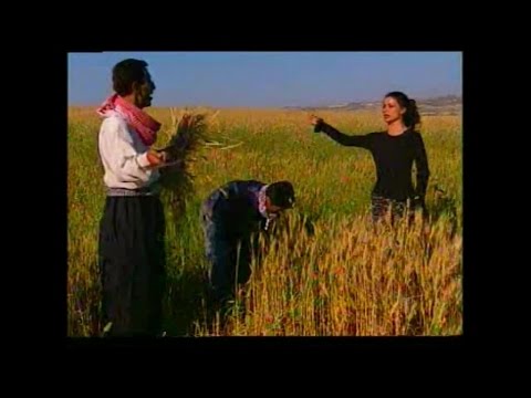 Kürtçe Hareketli En Güzel Oyun Havaları / Zilan Ft. Derman - Lawıké Gundi