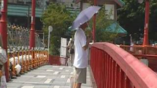 男の日傘（浅草・吾妻橋）