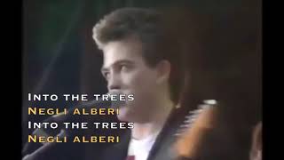 The Cure - A Forest - Live 1980 Lyrics On Screen Traduzione Italiana