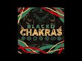 Miniature de la vidéo de la chanson Souljah