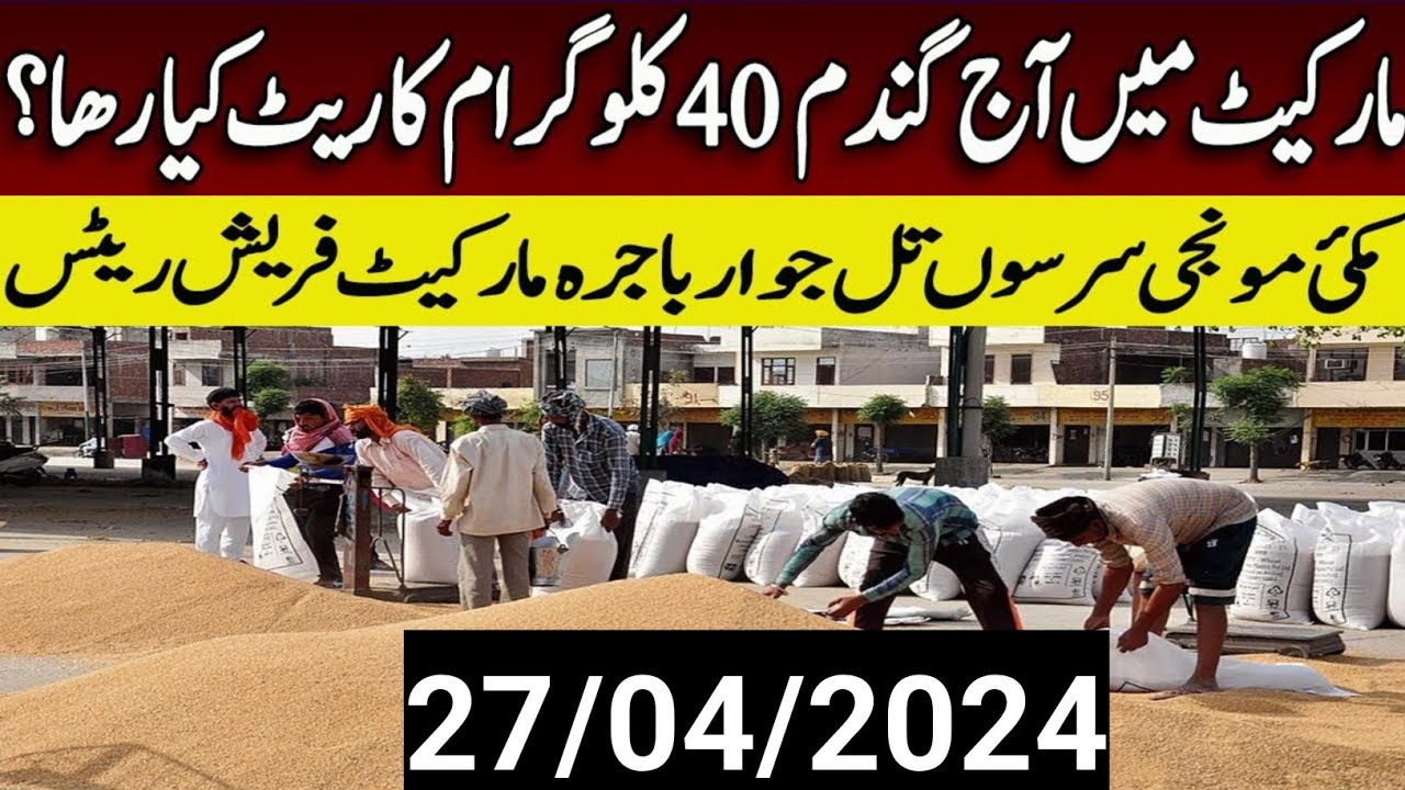wheat price in pakistan today/today wheat price/galla mandi rate today ...