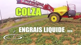 Premier apport d'azote liquide sur le colza - 2016