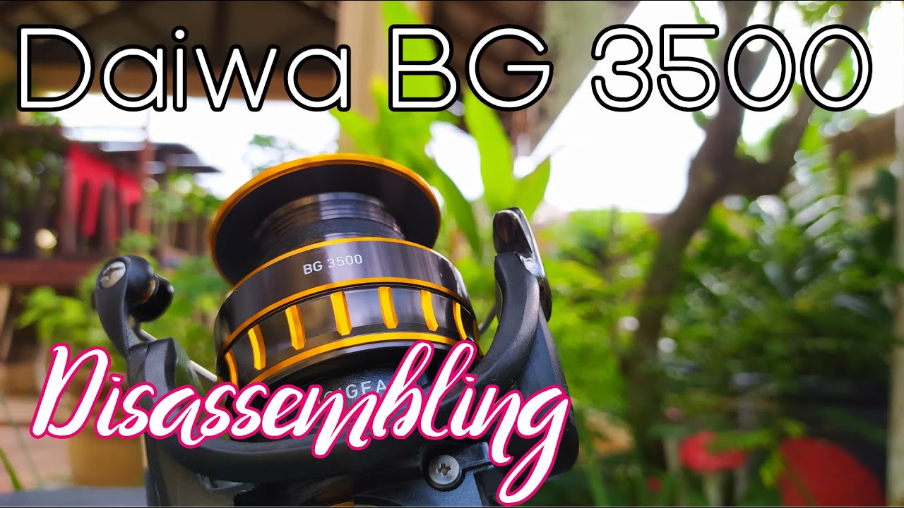 Daiwa BG 3500 - Part 1 Disassembling - Reel servicing 