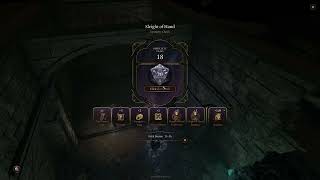 Baldur's Gate 3 Walkthrough (Paladin/Tactician) - Part 85: Masons Guild Secret Basement