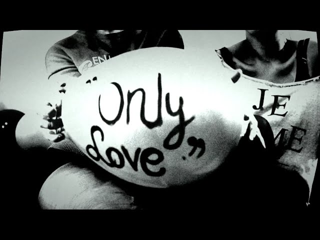 Watch I Heart Sharks - Only Love (Lyric Video) on YouTube Watch I Heart Sharks - Only Love (Lyric Video) on YouTube