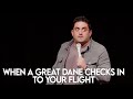When a great dane checks in to your flight  jared freid stand up