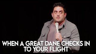 When A Great Dane Checks In To Your Flight  Jared Freid Stand Up